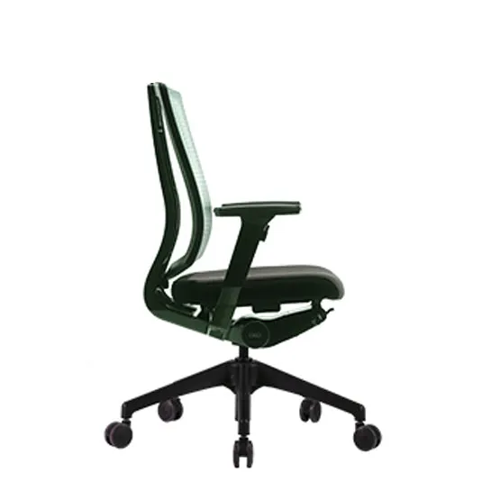 Bravo Ergonomic Computer Chair