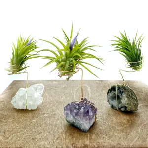 Geode Crystal Plant Holder   Plant