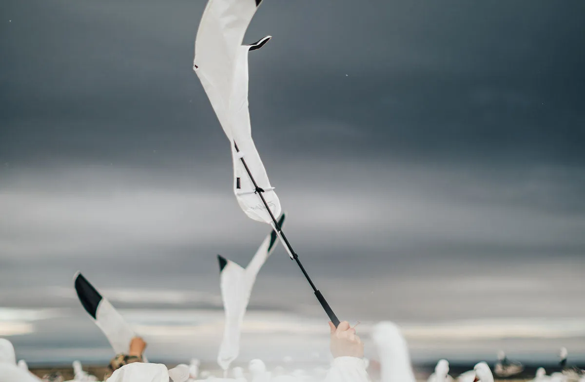 Snow Goose Flag